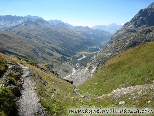 val ferret